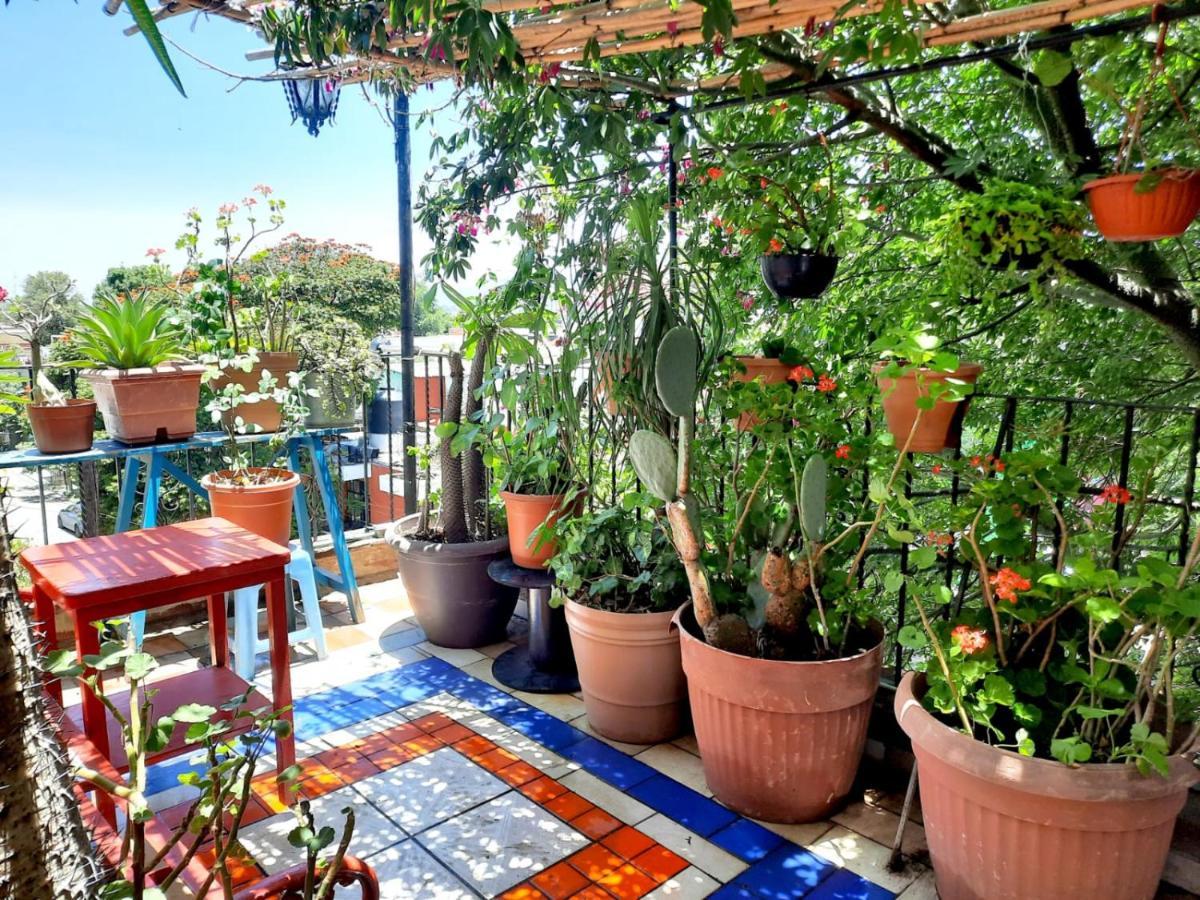 La Terraza del Pochote Oaxaca Exterior foto